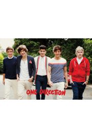 One Direction - park - plakat 91,5x61 cm