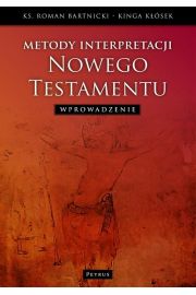 eBook Metody interpretacji Nowego Testamentu pdf