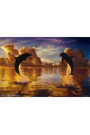Lassen - Niebiaska Harmonia - Delfiny - plakat