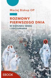 eBook Rozmowy pierwszego dnia epub