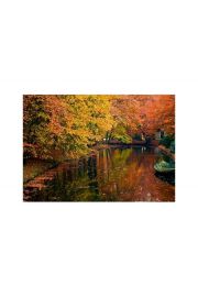 Jesiennie - jeziorko w lesie - plakat premium 80x60 cm