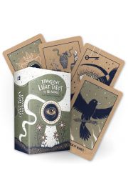 Transient Light Tarot, karty