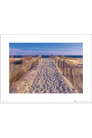 Beach Pathway - plakat premium 40x30 cm