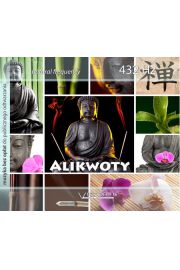 CD Alikwoty 432 Hz Natural Frequency