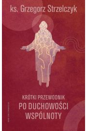 eBook Krtki przewodnik po duchowoci wsplnoty epub