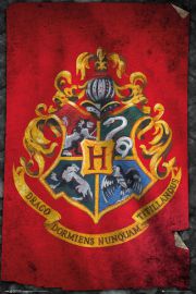 Harry Potter Hogwarts - plakat 61x91,5 cm