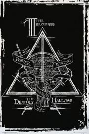 Harry Potter i Insygnia mierci - plakat 61x91,5 cm