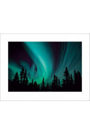 Northern Lights - plakat premium 80x60 cm