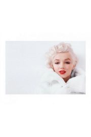Marilyn Monroe White - plakat premium 50x40 cm