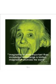 Albert Einstein I.Quote - Imagination - plakat premium 40x40 cm