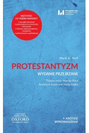 eBook Protestantyzm Wydanie przejrzane pdf