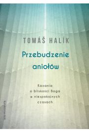 eBook Przebudzenie aniow mobi epub