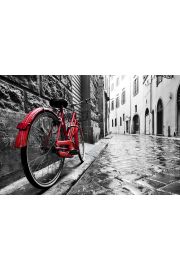 Czerwony rower - plakat 60x40 cm