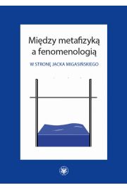 eBook Midzy metafizyk a fenomenologi pdf mobi epub