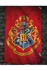 Harry Potter Hogwart - plakat 40x50 cm