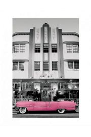 Pink Cadillac - plakat premium 40x50 cm