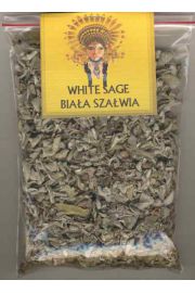 Biaa Szawia (Salvia apiana), White Sage