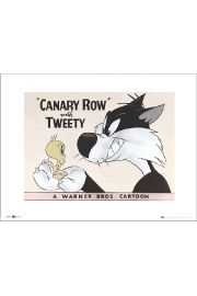 Tweety Canary Row - plakat premium 40x30 cm