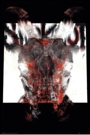 Slipknot We Are Not Your Kind - plakat 61x91,5 cm