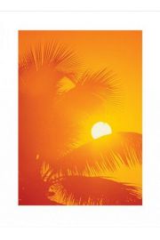 Orange Palms - plakat premium 60x80 cm