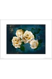Re Roses Midnight - plakat premium 40x30 cm