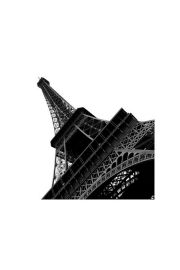 Wiea Eiffel, Pary - plakat premium 40x40 cm