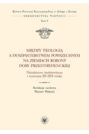 eBook Midzy teologi a duszpasterstwem powszechnym na ziemiach Korony doby przedtrydenckiej. Tom V pdf