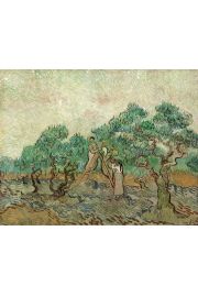 The Olive Orchard, Vincent van Gogh - plakat 59,4x42 cm