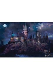 Harry Potter Hogwarts - plakat 91,5x61 cm