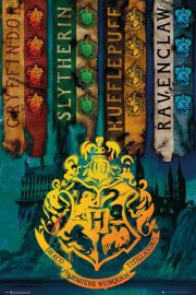 Harry Potter Domy Magii - plakat 61x91,5 cm