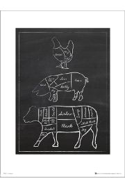 Butchers Cuts Chalk Portrait - plakat premium 30x40 cm