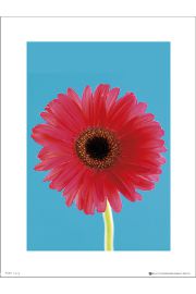 Flower Bright - plakat premium 30x40 cm