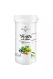 Soul Farm Pestki winogron ekstrakt 95% OPC (450 mg) Suplement diety 60 kaps.
