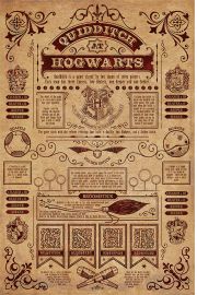 Harry Potter Quidditch At Hogwarts - plakat 61x91,5 cm