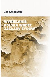 eBook Wybielanie epub