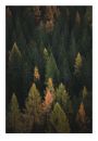 Jesienny las - plakat 70x100 cm