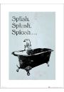 Bathroom Splish Splash Splosh - plakat premium