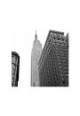 Empire State Building - plakat premium 40x40 cm