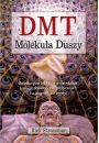 DMT. Molekua duszy. Rewolucyjne badania w dziedzinie biologii dowiadcze mistycznych i z pogranicza mierci