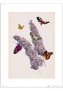 Motyle Butterflies Flowers - plakat premium 30x40 cm