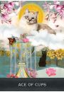 Grimalkins Curious Cats Tarot, karty