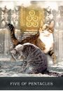 Grimalkins Curious Cats Tarot, karty