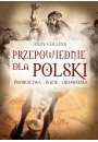 Przepowiednie dla Polski. Proroctwa, wizje, objawienia