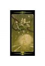 Tarot of the Secret Forest, Tarot Tajemniczego Lasu