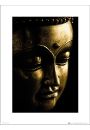 Buddha Gold Close Up - plakat premium 30x40 cm