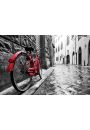 Czerwony rower - plakat 80x60 cm