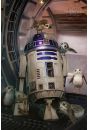 Star Wars Gwiezdne Wojny Ostatni Jedi Porgs and R2-D2 - plakat 61x91,5 cm