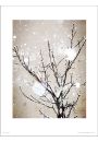 Christmas Icy Branches - plakat premium 40x50 cm