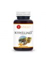 Yango Boswellia 65™ - ekstrakt 65% Suplement diety 60 kaps.