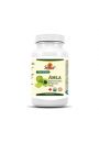 Sewanti Suplement diety Organic Amla 500 mg 60 kaps. Bio